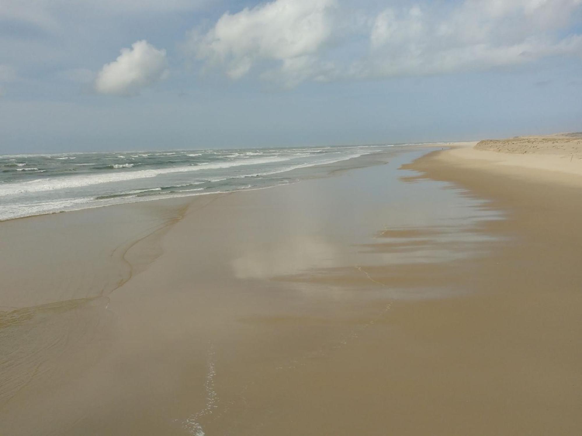 Charmant Appartement Pour 6 En Centre-Ville D'Arcachon Avec Terrasse, Parking Et Wifi - Fr-1-474-174 Kültér fotó